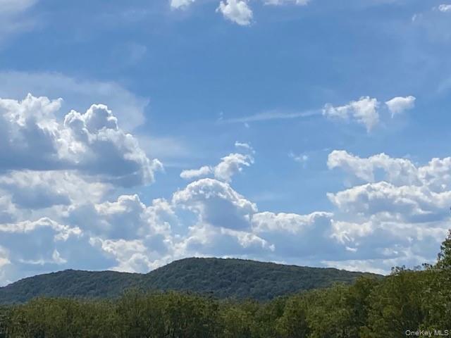 472 Wheeler Road Florida, NY 10921 - Photo 21 of 23 a view of swimming pool in middle of the green field