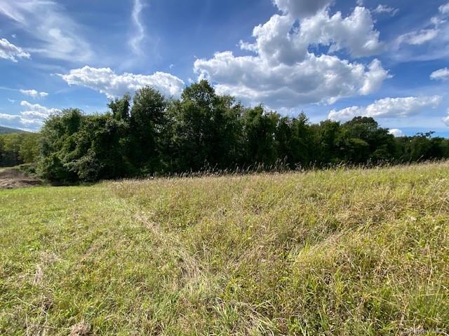 472 Wheeler Road Florida, NY 10921 - Photo 23 of 23 a view of outdoor space with garden