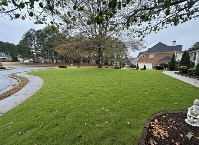 a view of a town with large trees