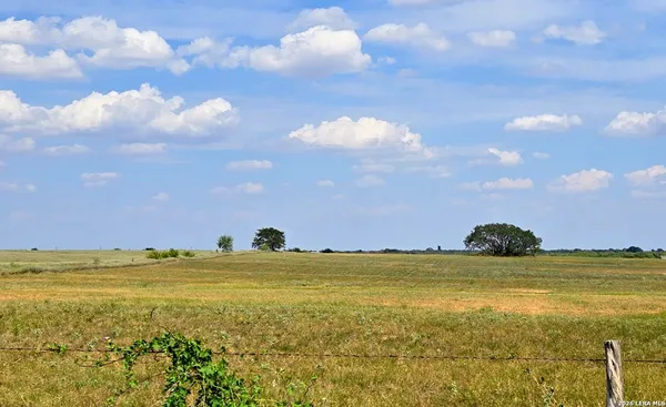 $305,000 | Tbd Fm472, Bigfoot, TX 78005