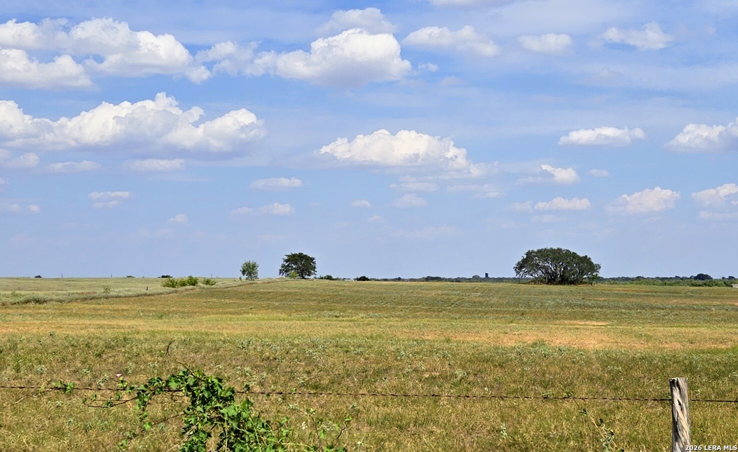 Tbd Fm472 Bigfoot, TX 78005 - Photo 3 of 14