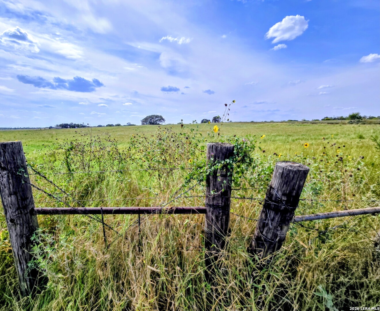 Tbd Fm472 Bigfoot, TX 78005 - Photo 8 of 14
