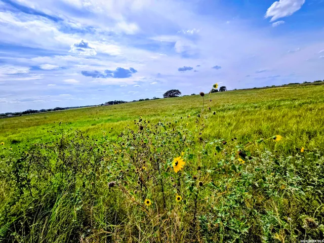 $310,000 | Tbd Tbd Fm472, Bigfoot, TX 78005