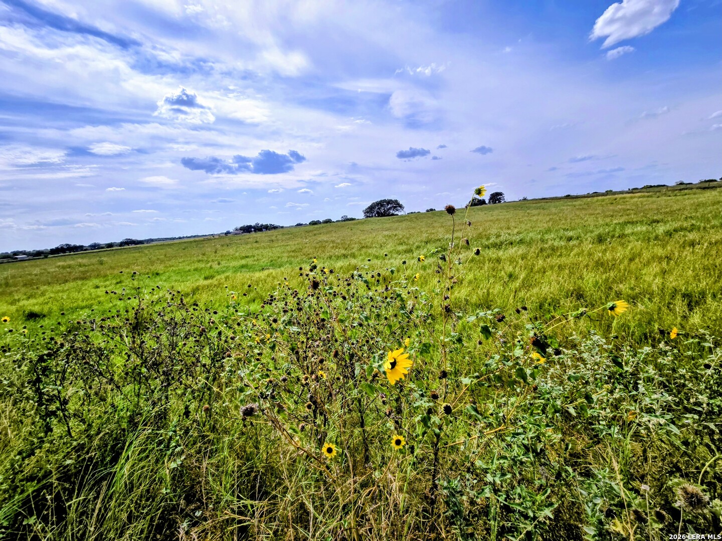 Tbd Fm472 Bigfoot, TX 78005 - Photo 10 of 14