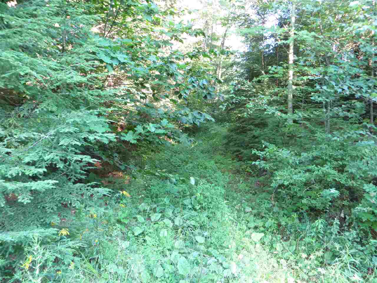 Lot 47 Laconia Road Belmont, NH 03220 - Photo 2 of 5 Gallery Image 2