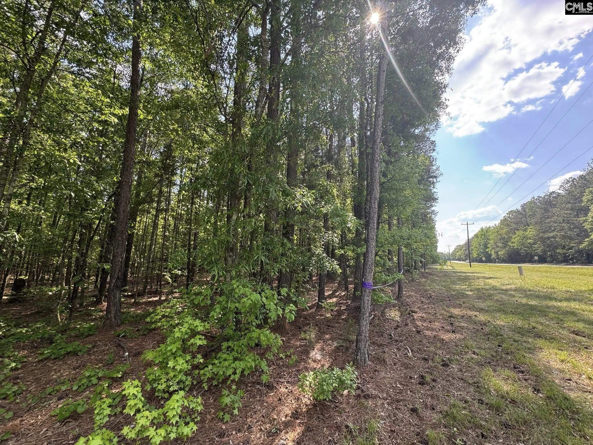 76 West W Highway Honea Path, SC 29654 - Photo 5 of 35
