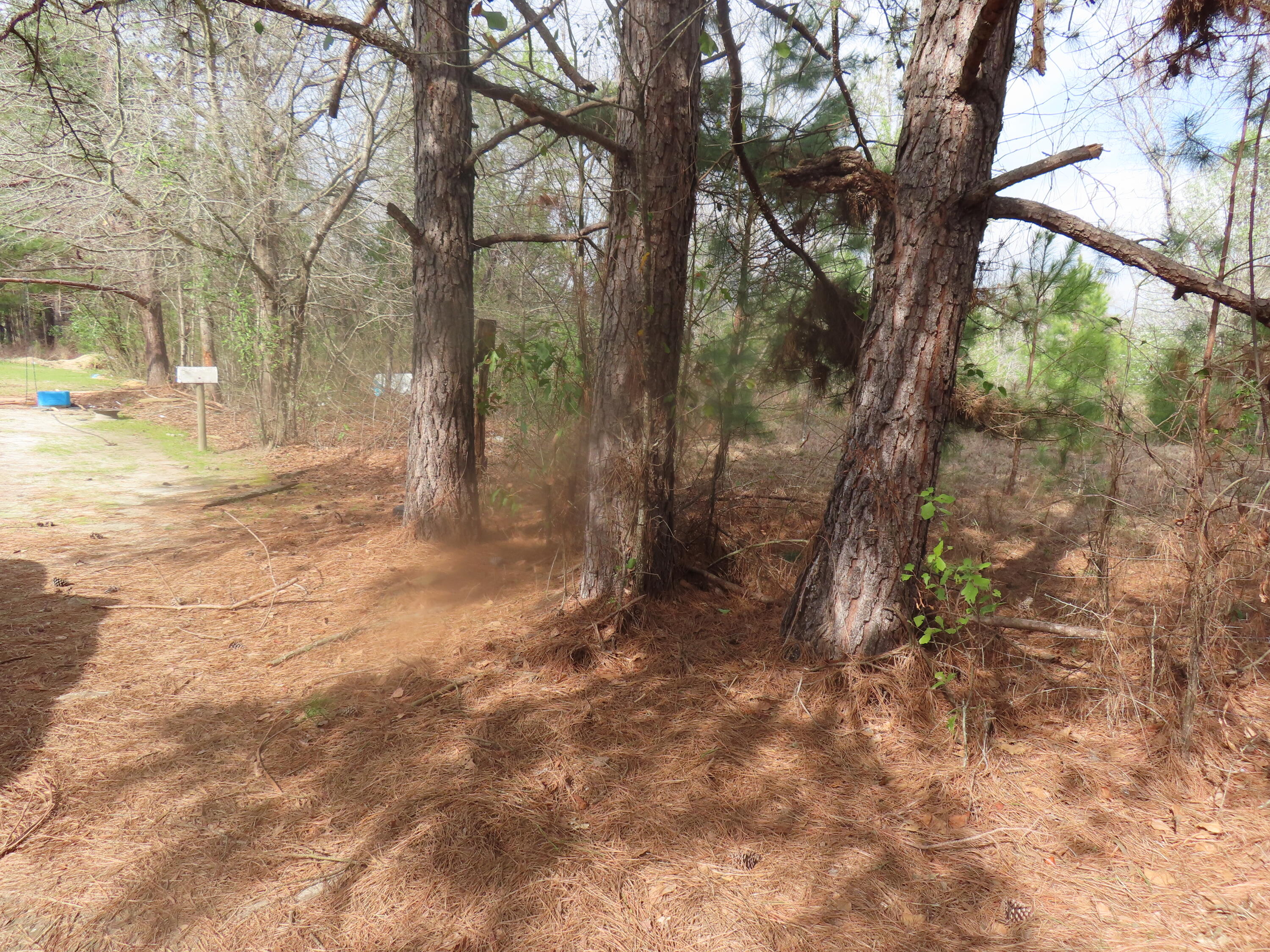 183 Oilers Drive Eutawville, SC 29048 - Photo 3 of 4 IMG_2459