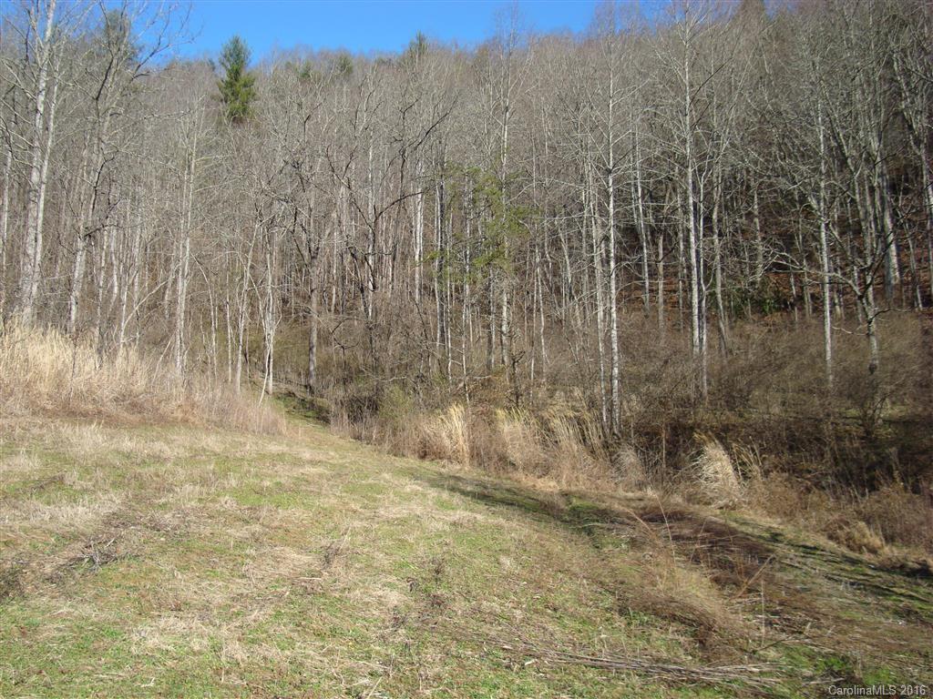 3072 Grapevine Road Marshall, NC 28753 - Photo 15 of 23 Gallery Image 15