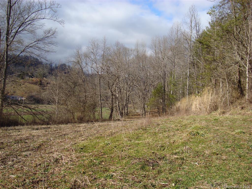 3072 Grapevine Road Marshall, NC 28753 - Photo 16 of 23 Gallery Image 16