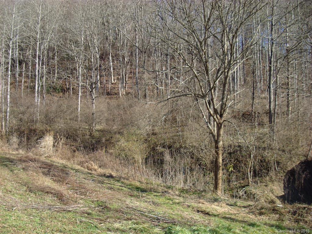 3072 Grapevine Road Marshall, NC 28753 - Photo 17 of 23 Gallery Image 17