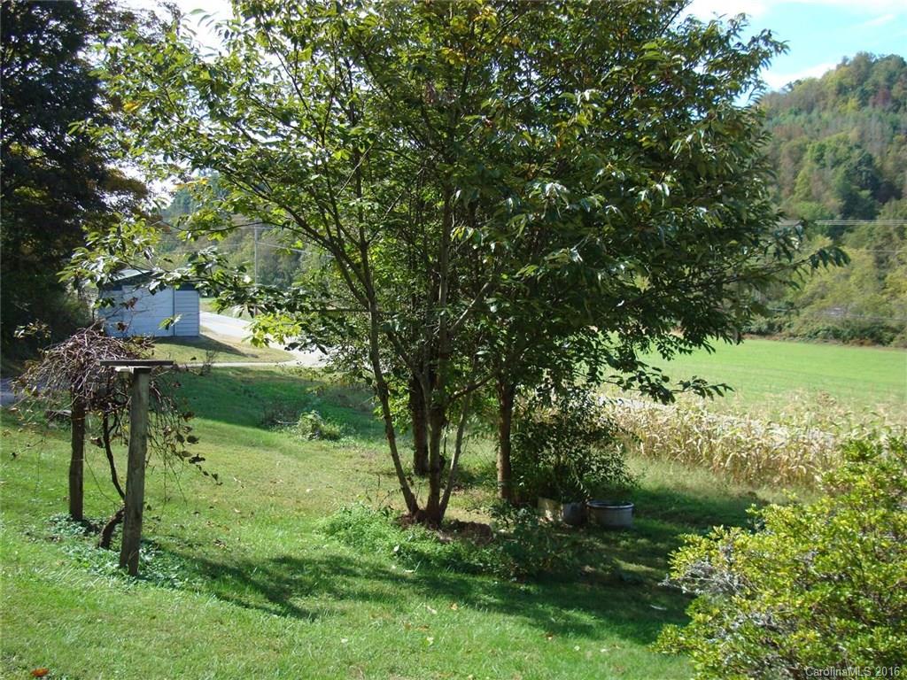 3072 Grapevine Road Marshall, NC 28753 - Photo 21 of 23 Gallery Image 21