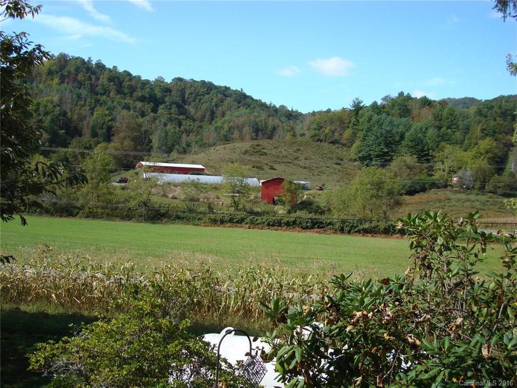 3072 Grapevine Road Marshall, NC 28753 - Photo 22 of 23 Gallery Image 22