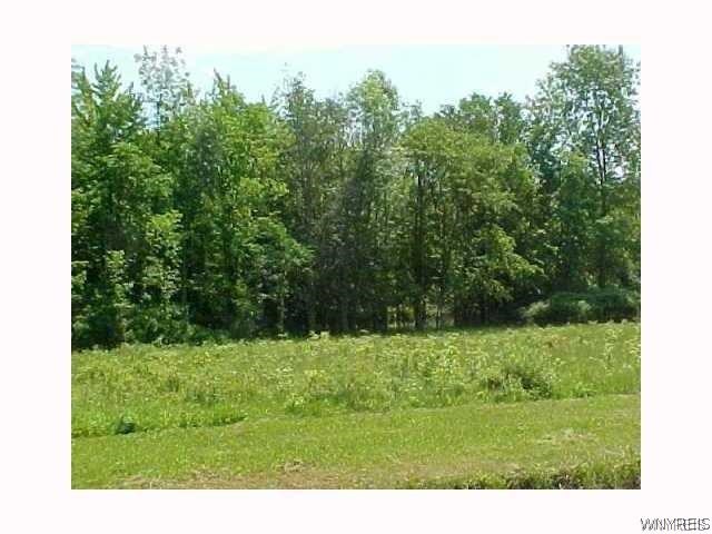 1967 Ferry Road Grand Island, NY 14072 - Photo 1 of 1 Gallery Image 1