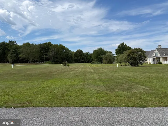 a view of a field with an ocean