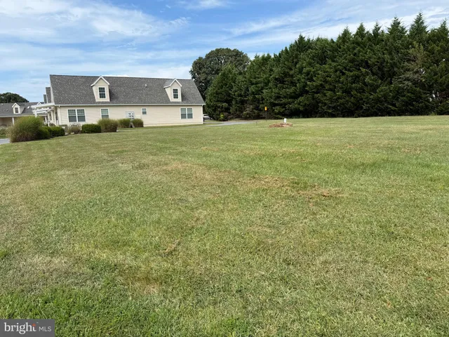 a view of a yard with an outdoor space