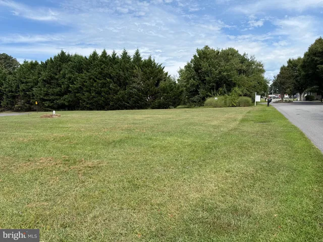 a view of a field with trees in the background