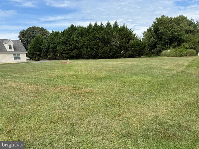 a view of a field with trees in the background