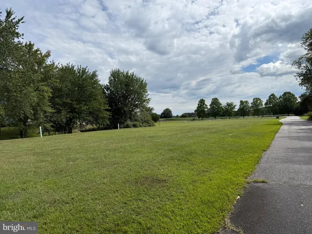 a view of a grassy field