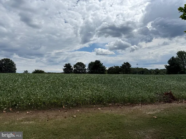 a view of a garden with a bench