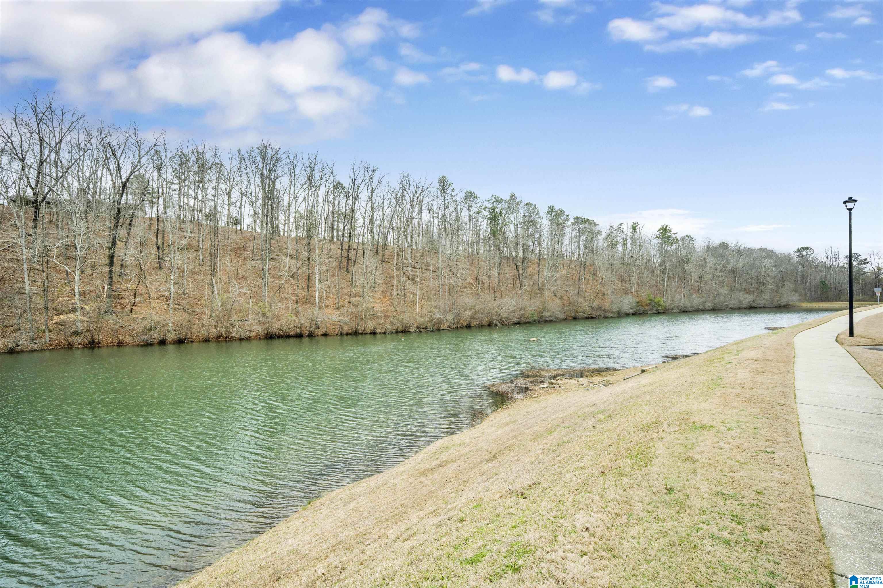 541 Chesser Circle Chelsea, AL 35043 - Photo 44 of 48