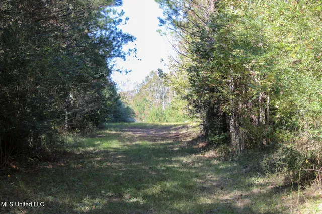 $895,000 | 2108 Joel Lang Road, McComb, MS 39648