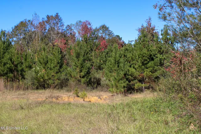 $895,000 | 2108 Joel Lang Road, McComb, MS 39648