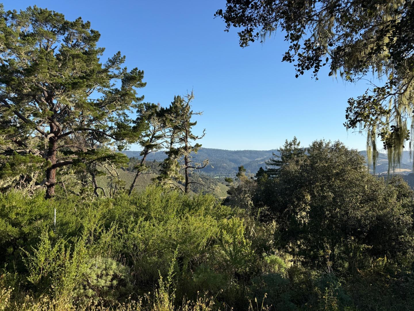 6 Rancho San Carlos Road Carmel, CA 93923 - Photo 6 of 16