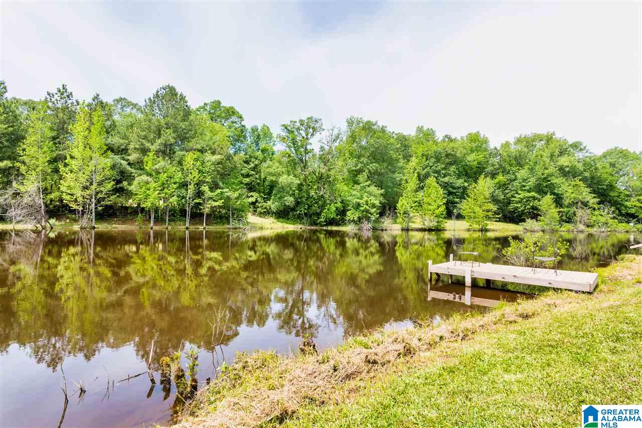 212 Highway 213 Calera Al Calera, AL 35040 - Photo 5 of 50
