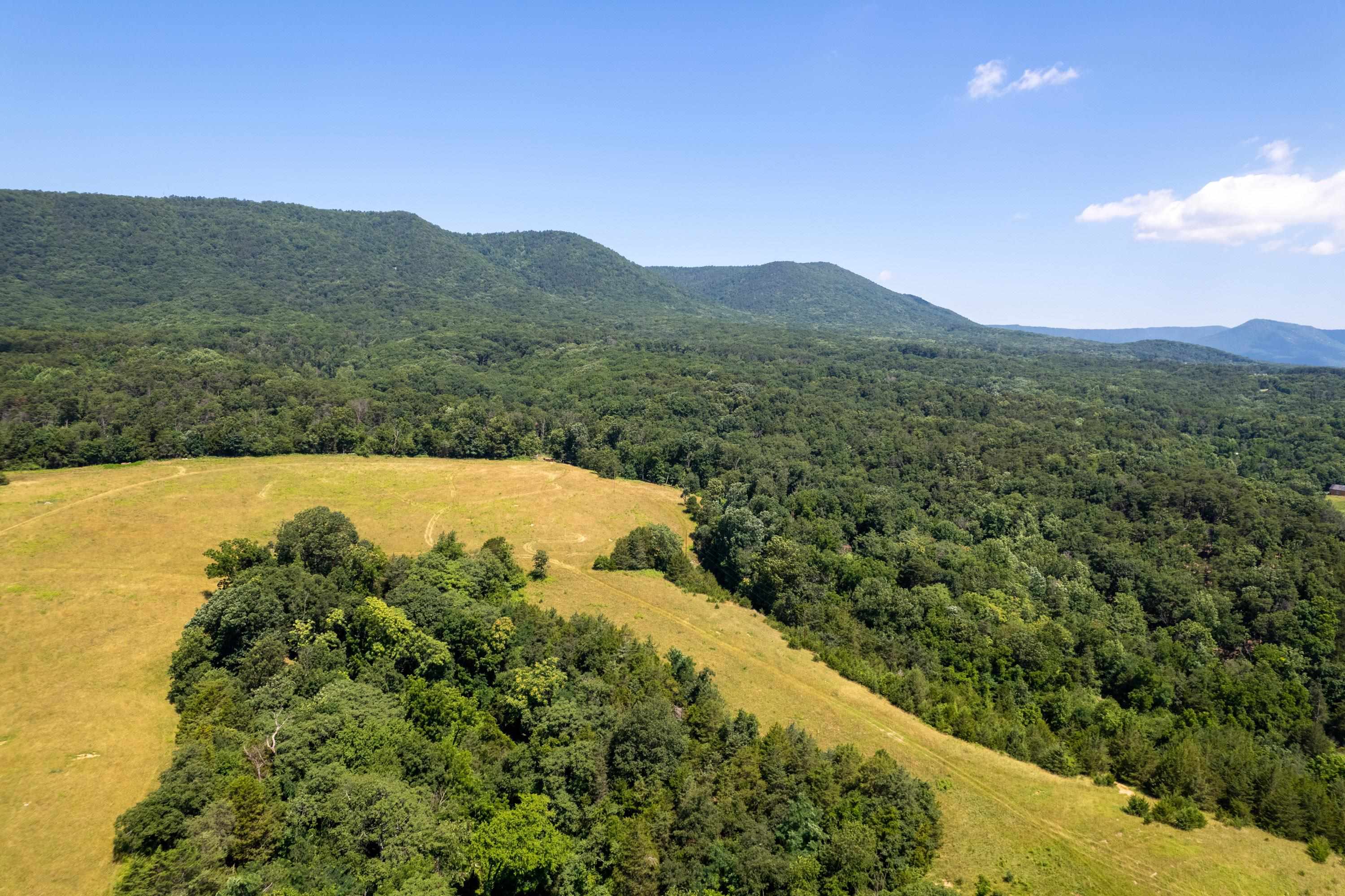 1-2 Galloway Spring Lane Shenandoah, VA 22849 - Photo 12 of 17 Gallery Image 12