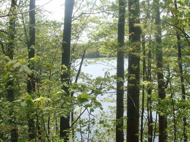Lot 9 Flannery Lake Road Rhinelander, WI 54501 - Photo 7 of 18 Gallery Image 7