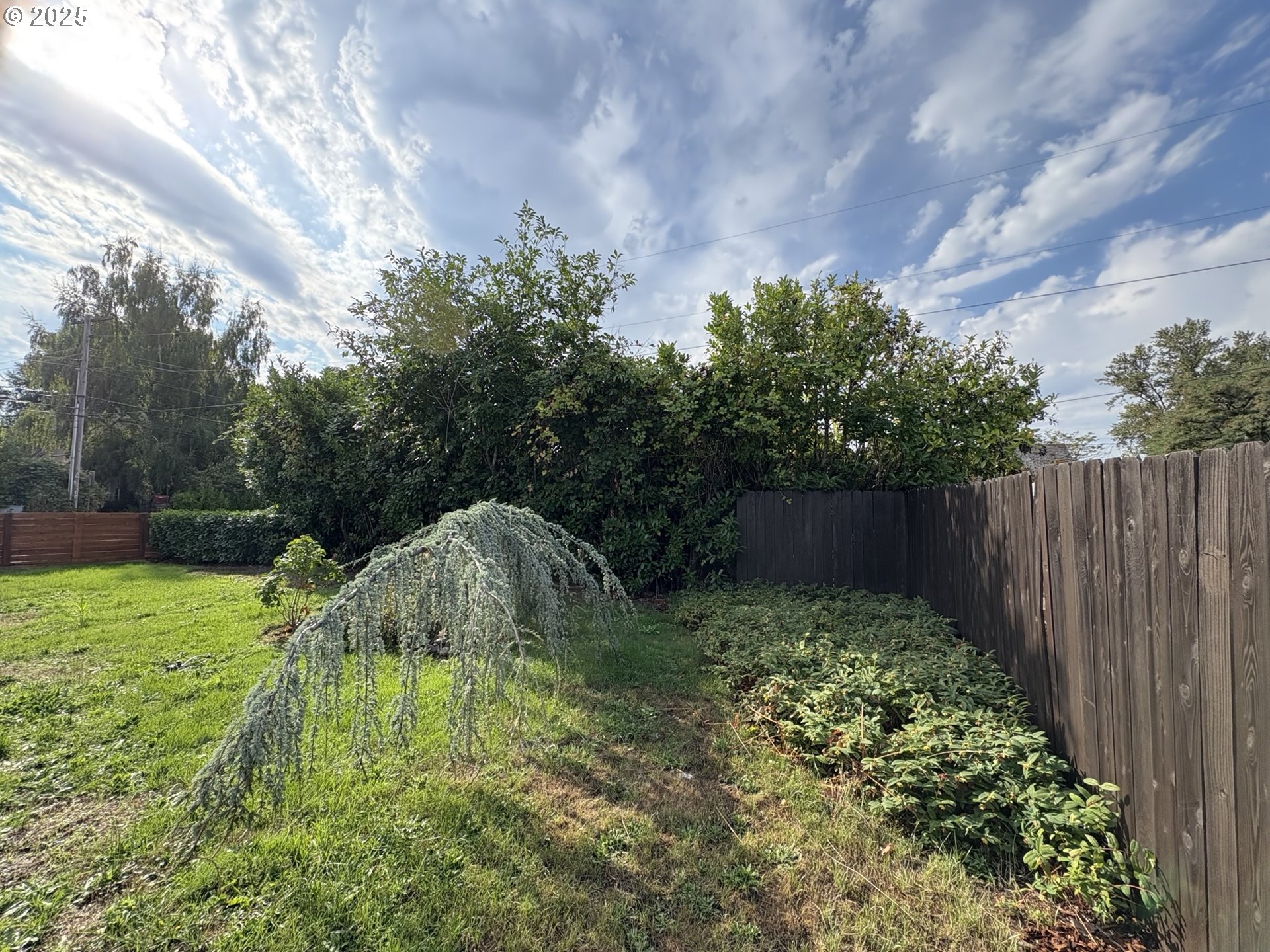 1510 Northwest Broadway Street Albany, OR 97321 - Photo 9 of 32 a backyard of a house with lots of green space