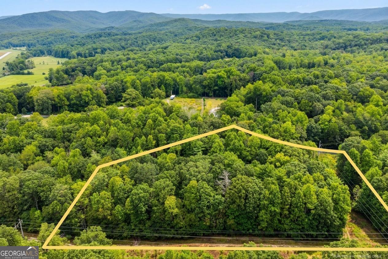 380 Guy Wimpy Road, Unit LOT 2 Dahlonega, GA 30533 - Photo 6 of 23
