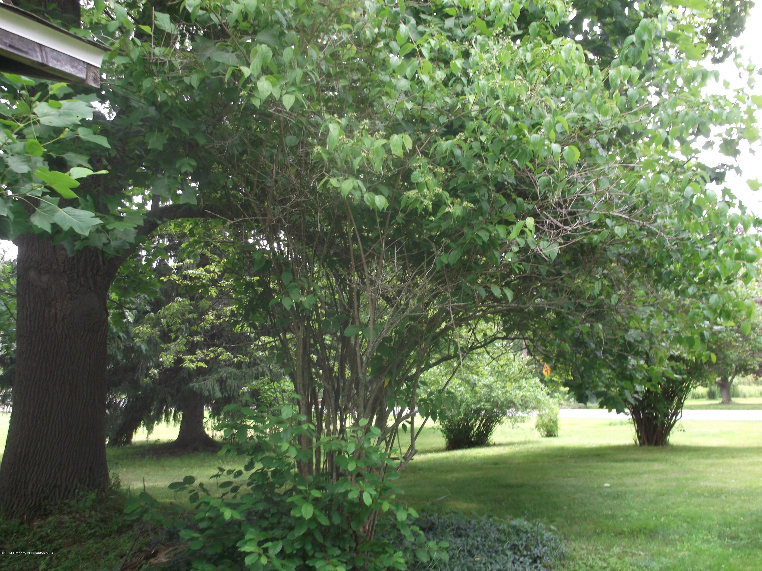 1375 Fairview Road Clarks Summit, PA 18411 - Photo 44 of 45 Gallery Image 44