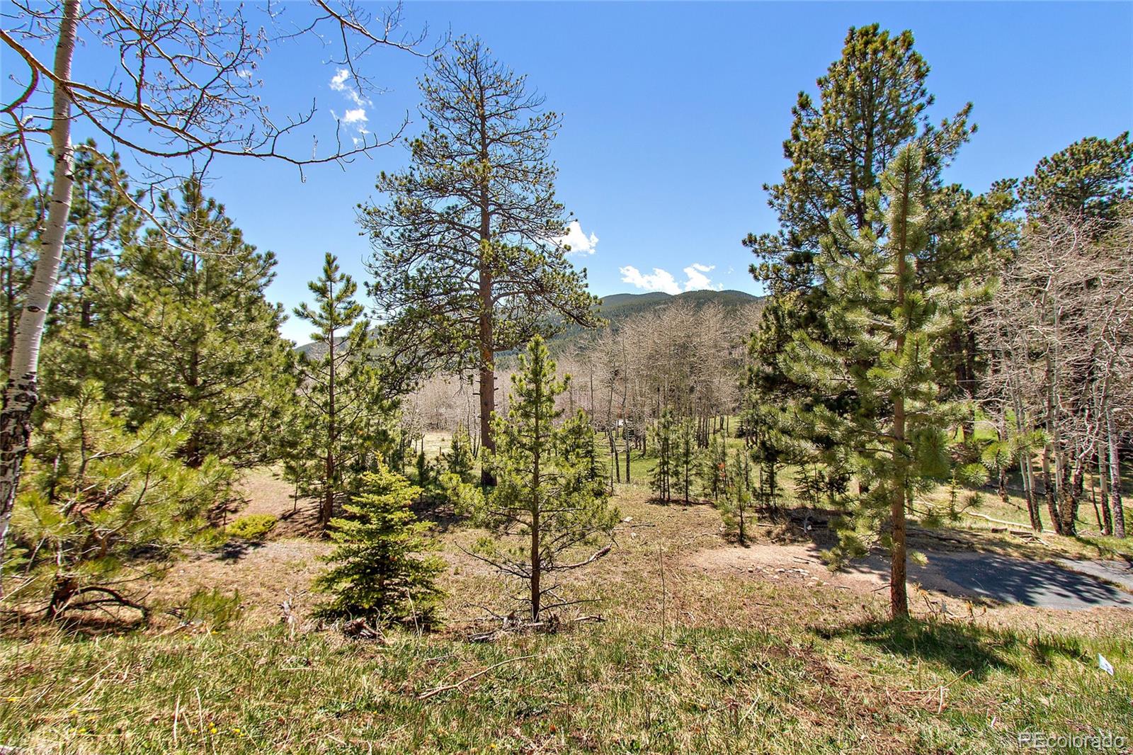 Squaw Pass Road Evergreen, CO 80439 - Photo 1 of 16 Gallery Image 1