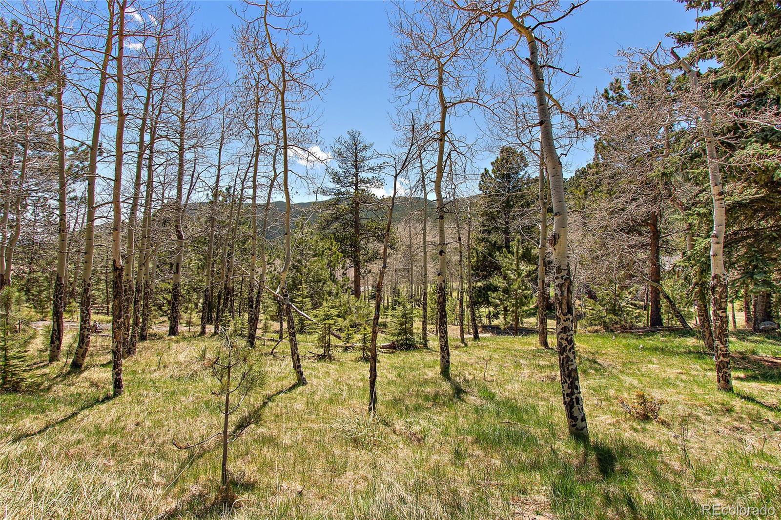 Squaw Pass Road Evergreen, CO 80439 - Photo 11 of 16 Gallery Image 11