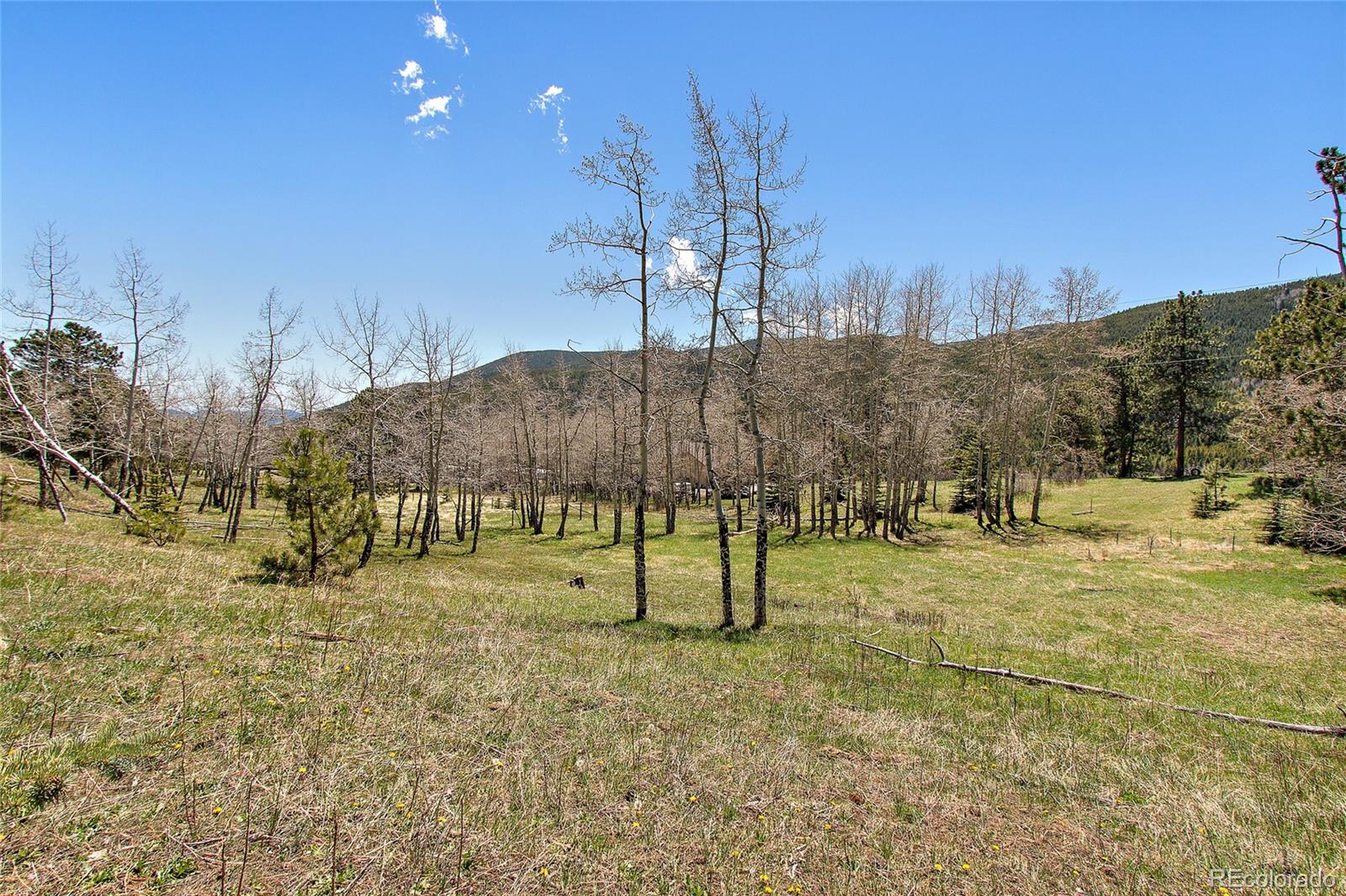 Squaw Pass Road Evergreen, CO 80439 - Photo 12 of 16 Gallery Image 12