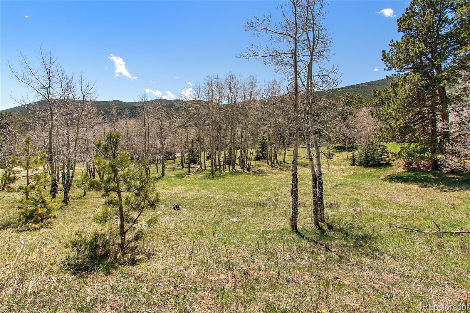 Squaw Pass Road Evergreen, CO 80439 - Photo 13 of 16 Gallery Image 13