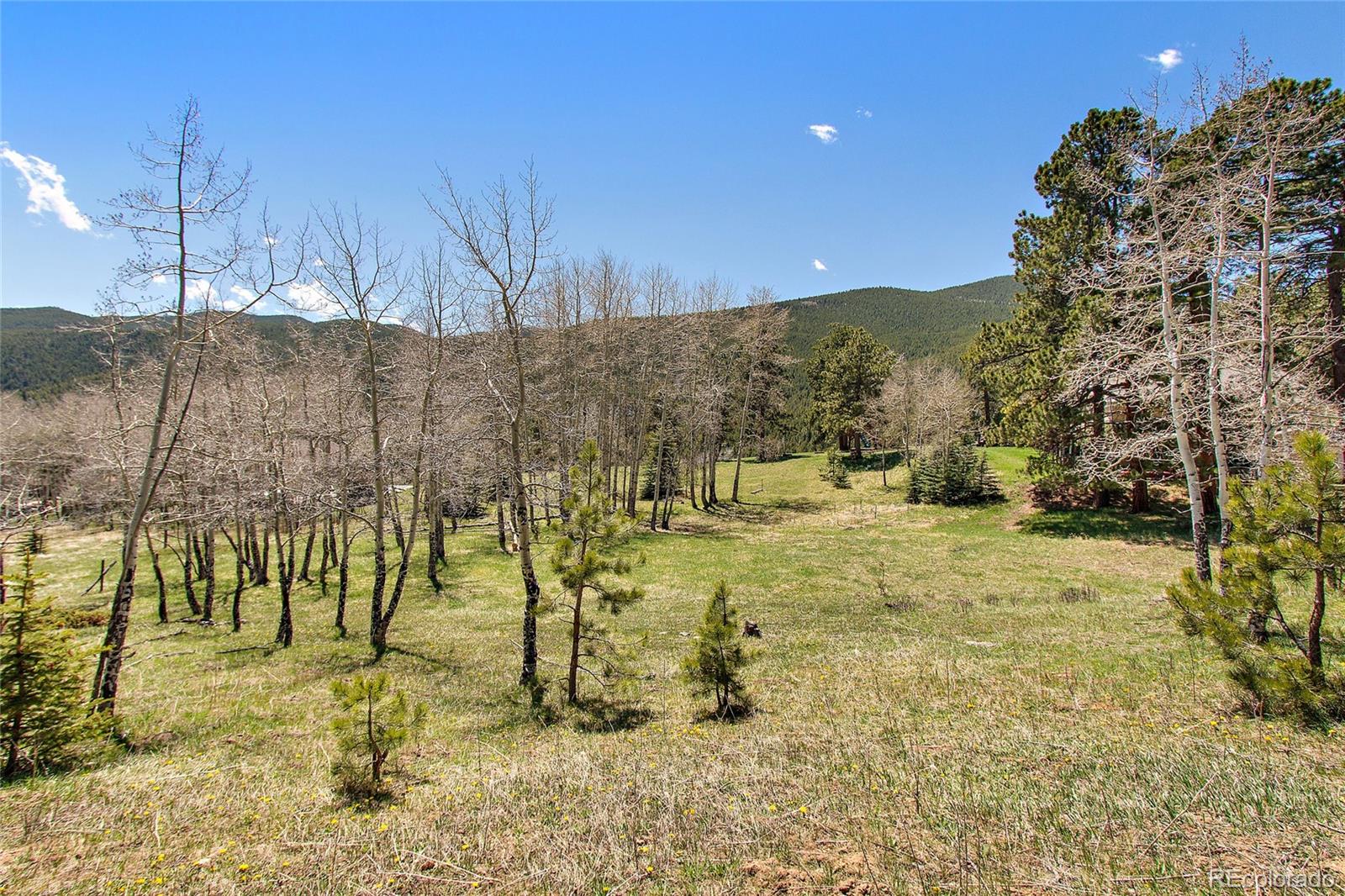Squaw Pass Road Evergreen, CO 80439 - Photo 14 of 16 Gallery Image 14