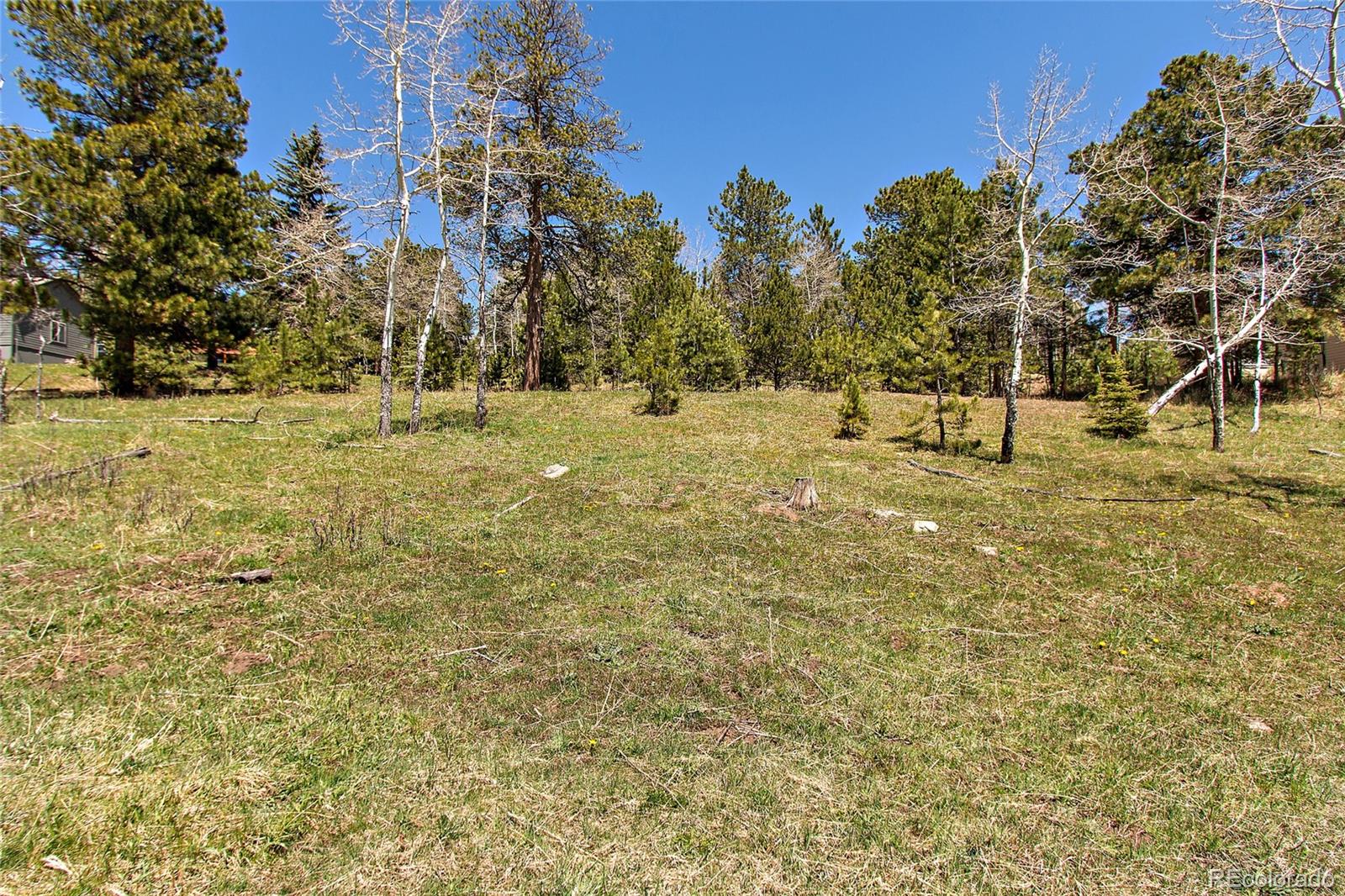 Squaw Pass Road Evergreen, CO 80439 - Photo 15 of 16 Gallery Image 15