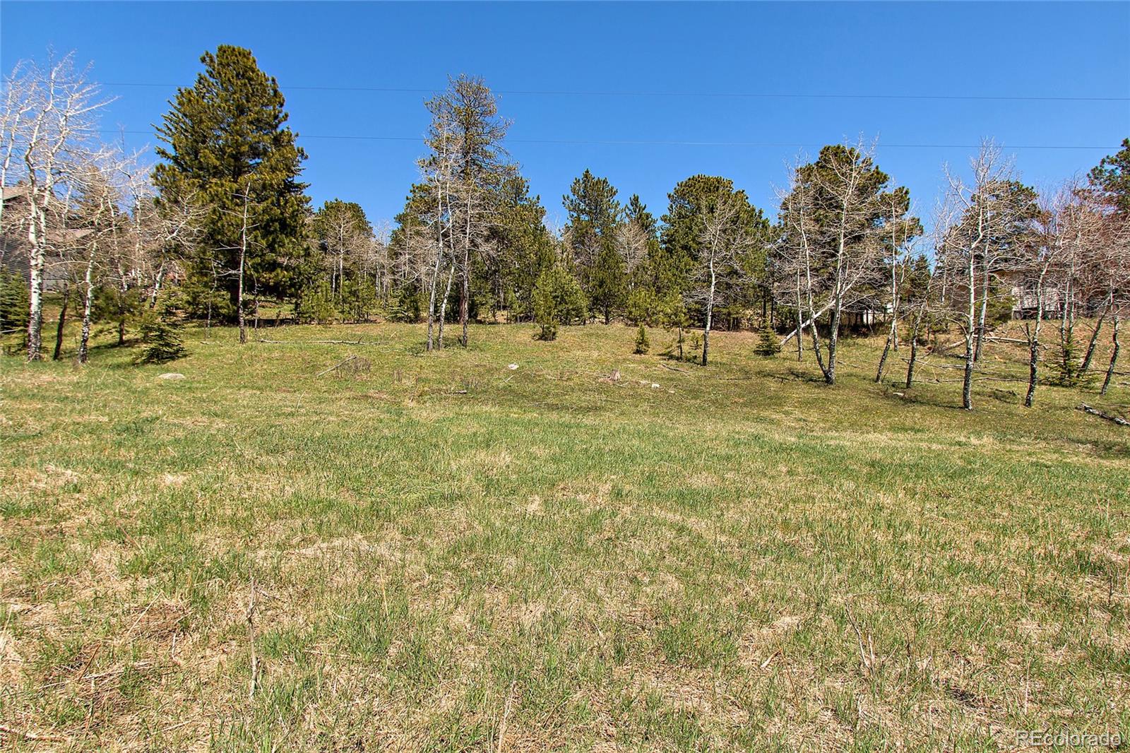 Squaw Pass Road Evergreen, CO 80439 - Photo 16 of 16 Gallery Image 16