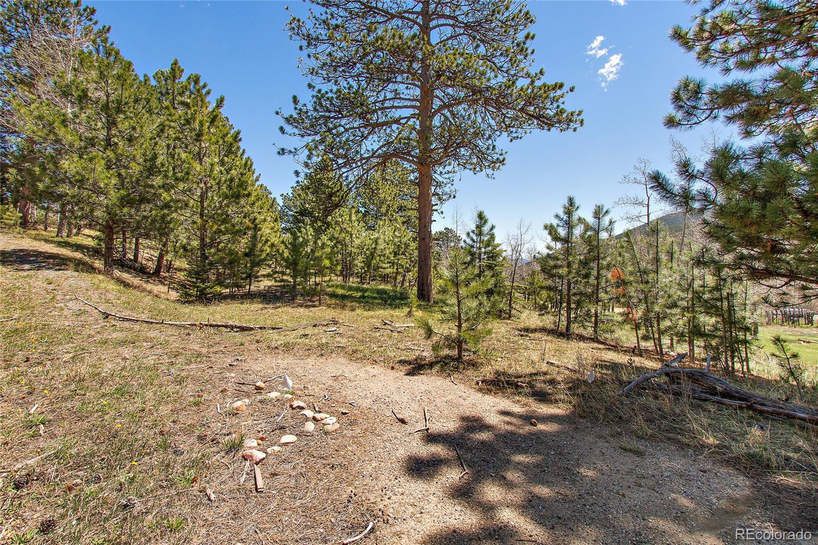Squaw Pass Road Evergreen, CO 80439 - Photo 2 of 16 Gallery Image 2