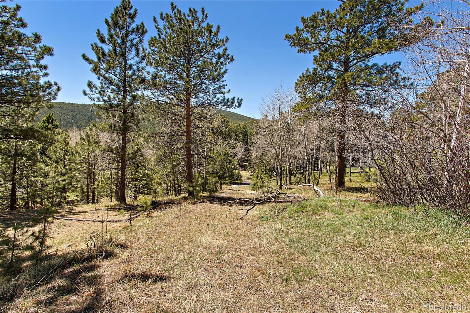 Squaw Pass Road Evergreen, CO 80439 - Photo 5 of 16 Gallery Image 5