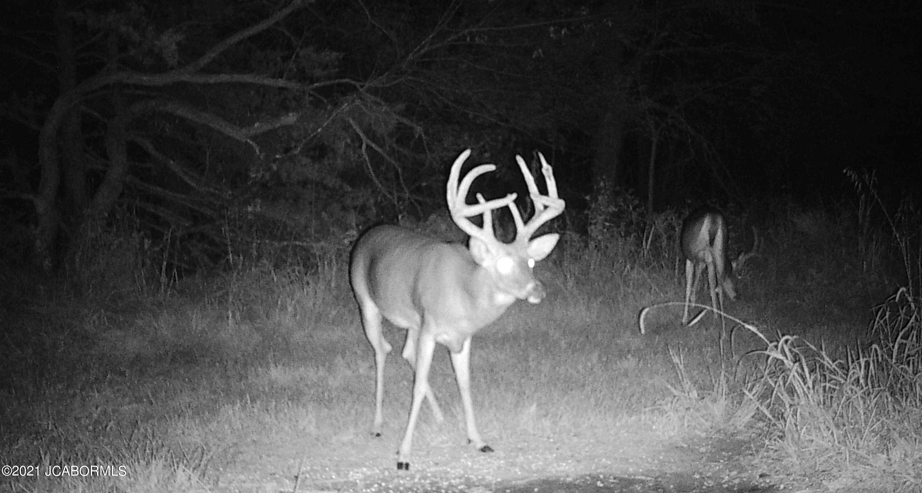 60924 Red Bird Road Jamestown, MO 65046 - Photo 23 of 50