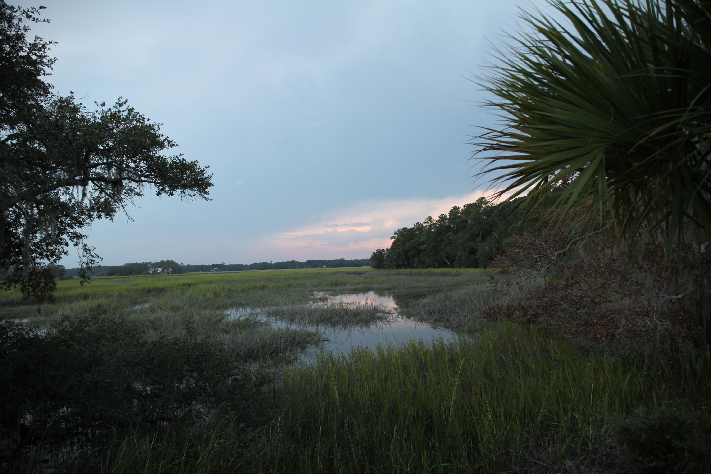 7951 Maxie Road Edisto Island, SC 29438 - Photo 3 of 3 Maxie-Road-1