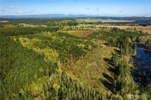$399,900 | 0 40 Acres 185th Avenue Southeast, Bucoda, WA 98530