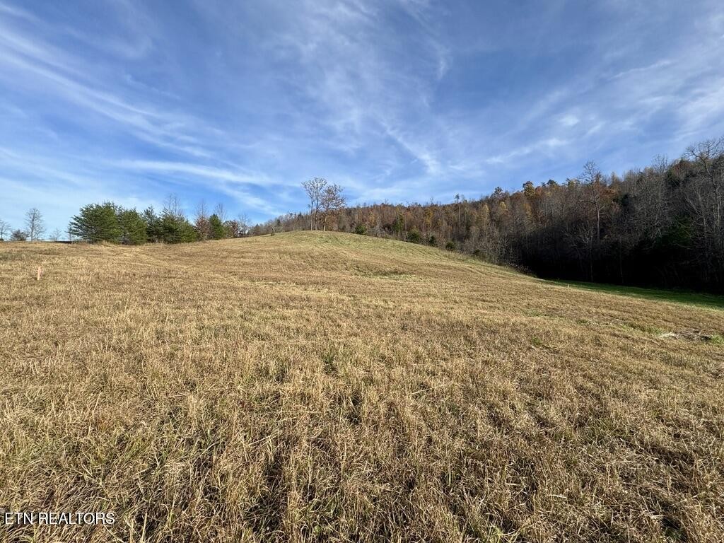 2 Three Point Road Vonore, TN 37885 - Photo 3 of 13 Gallery Image 3