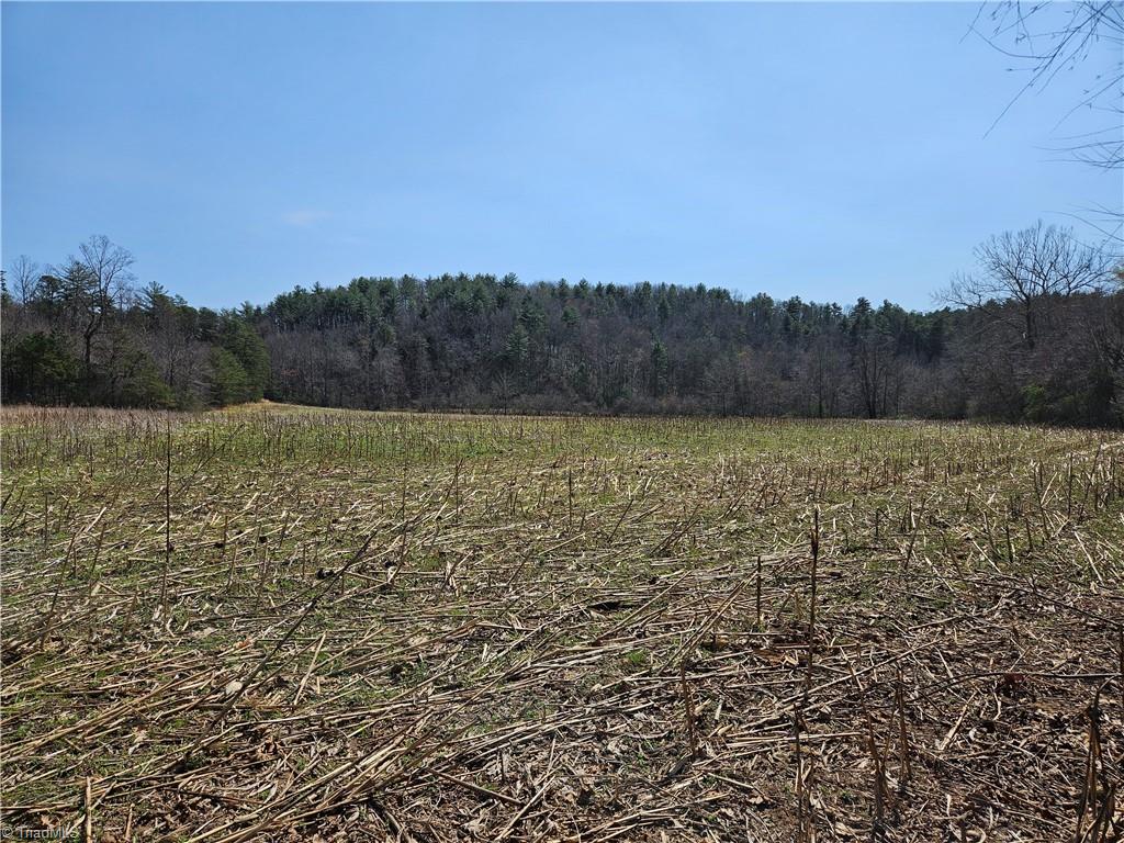 1827 Willis Gap Road, Unit 104 Ararat, VA 24053 - Photo 12 of 18