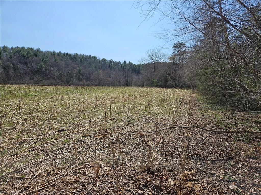 1827 Willis Gap Road, Unit 104 Ararat, VA 24053 - Photo 13 of 18