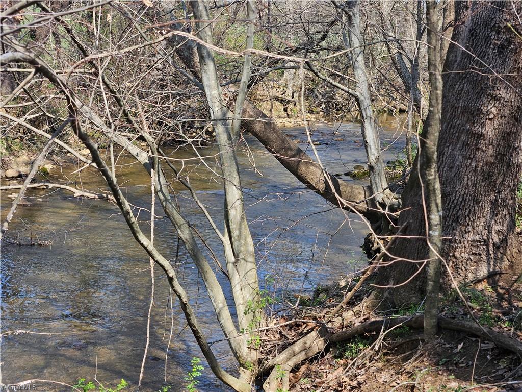 1827 Willis Gap Road, Unit 104 Ararat, VA 24053 - Photo 3 of 18