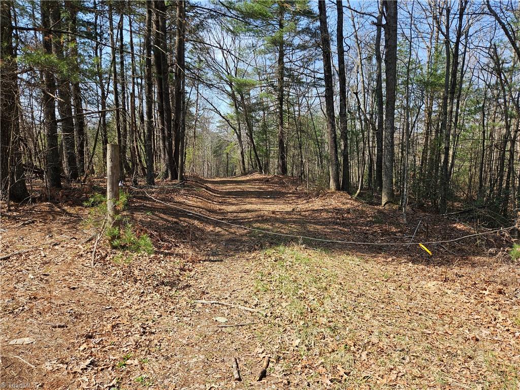 1827 Willis Gap Road, Unit 104 Ararat, VA 24053 - Photo 4 of 18